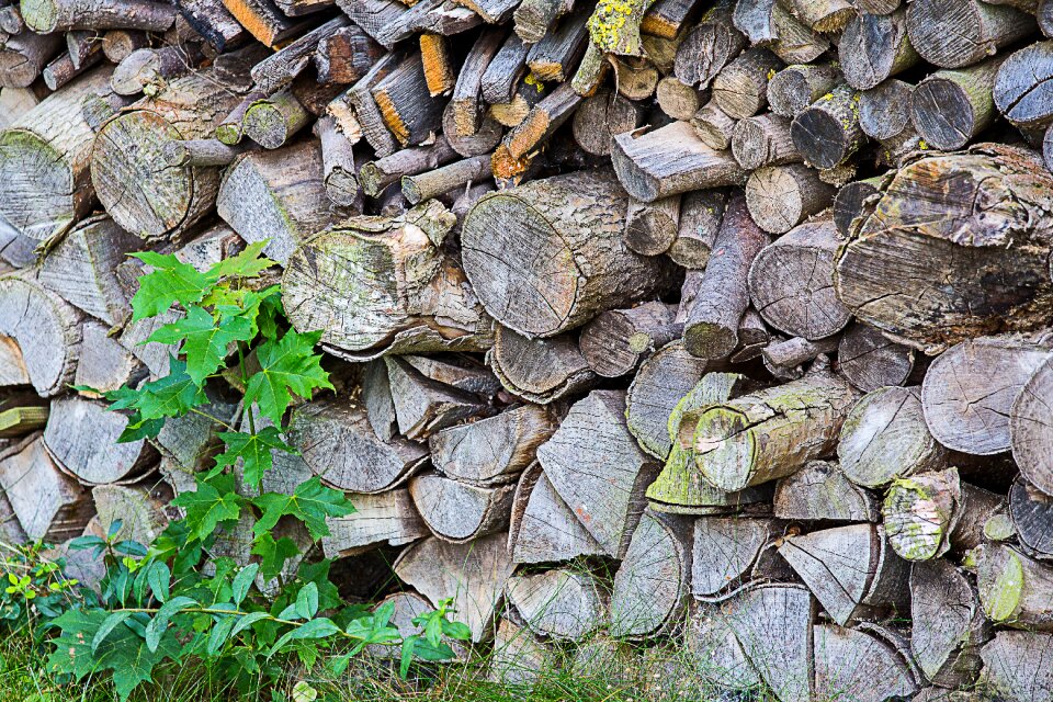 Heat storage wood for the fireplace