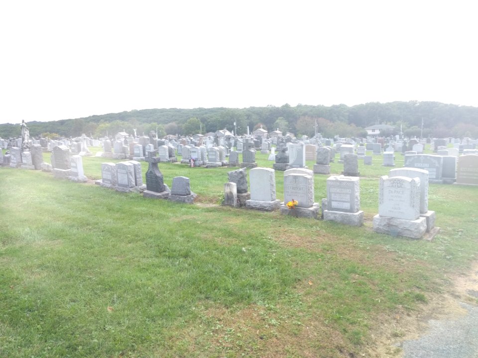 St Peters Cemetery in Staten Island jeh