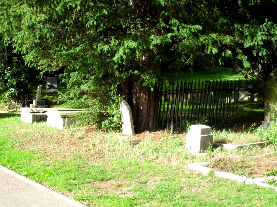 St Peter's Church, Preston Village, Brighton (August 2010) (Churchyard) (1)
