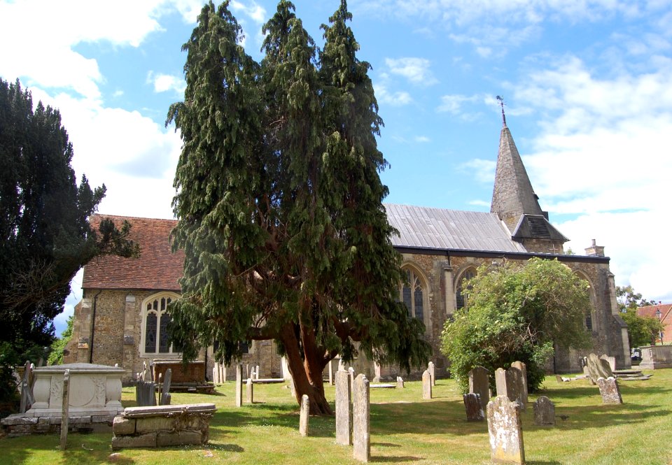 St Peter's Church, Church Street, Titchfield (NHLE Code 1351279) (May 2019) (13)