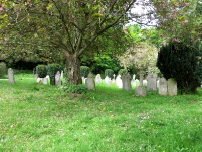 St Olave's Church, St Olave's Road, Gatcombe (May 2016) (Churchyard)