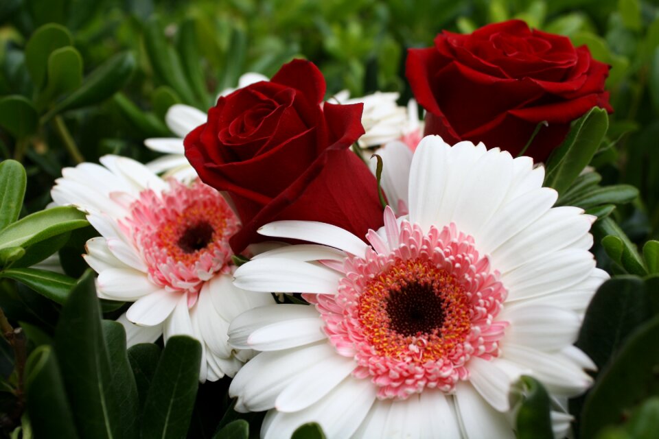 Flower bouquet of flowers nature