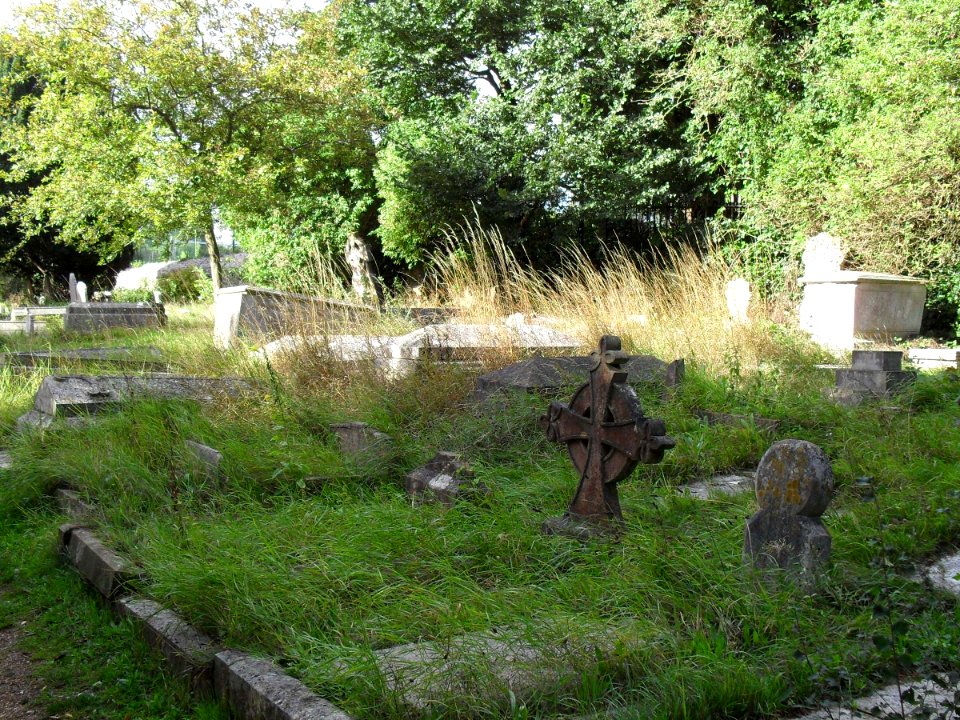 St Peter's Church, Preston Village, Brighton (August 2010) (Churchyard) (3)