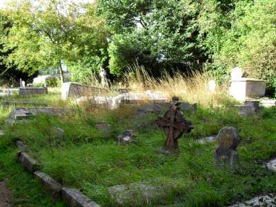 St Peter's Church, Preston Village, Brighton (August 2010) (Churchyard) (3)