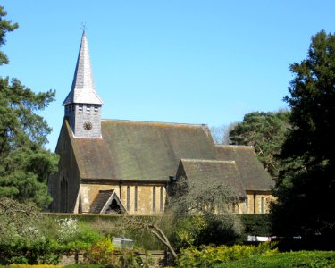 St Peter's Church, School Lane, Hascombe (April 2015) (3)