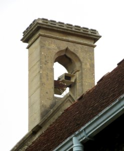 St George's Church, Badshot Lea Road, Badshot Lea (June 2015) (Bell-cot)