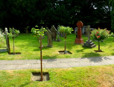 St Mary the Virgin's Church, Reigate Road, Buckland (July 2013) (Churchyard)