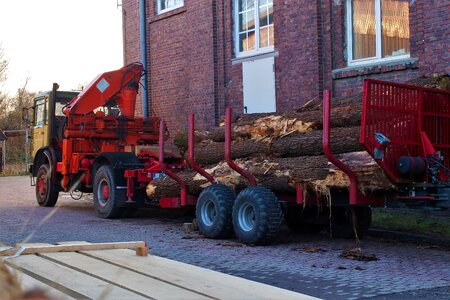 Oak wood transport lumber