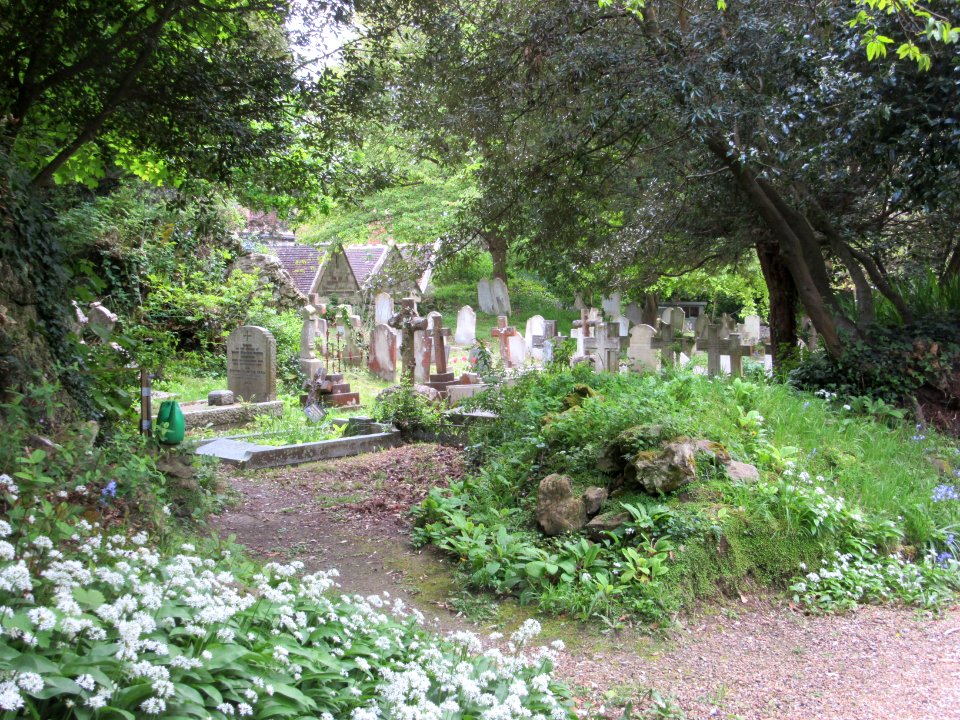St Boniface Church, Bonchurch Shute, Bonchurch (May 2016) (Churchyard) (2)