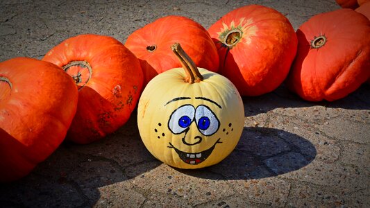 Harvest time sale decoration