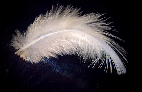 White tender slightly