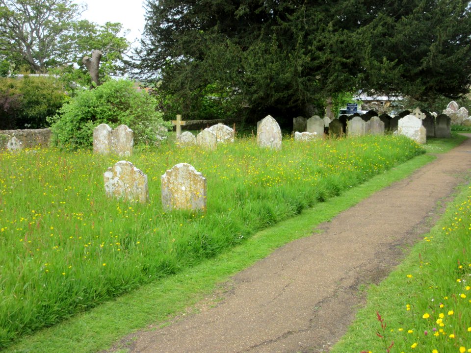 St Mary the Virgin's Church, Main Road, Brighstone (May 2016) (Churchyard) (1)
