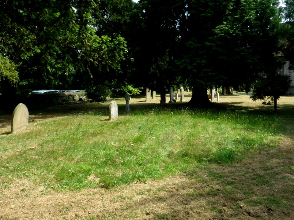 St Mary the Virgin's Church, London Road, Ewell (July 2013) (Churchyard)