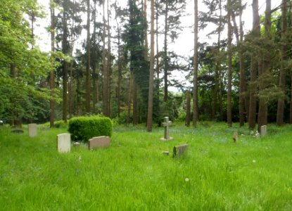 St Mary the Virgin's Church, Worplesdon Road, Worplesdon (May 2014) (Graveyard 4)