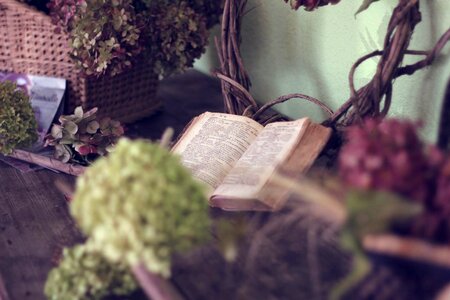 Basket read reading