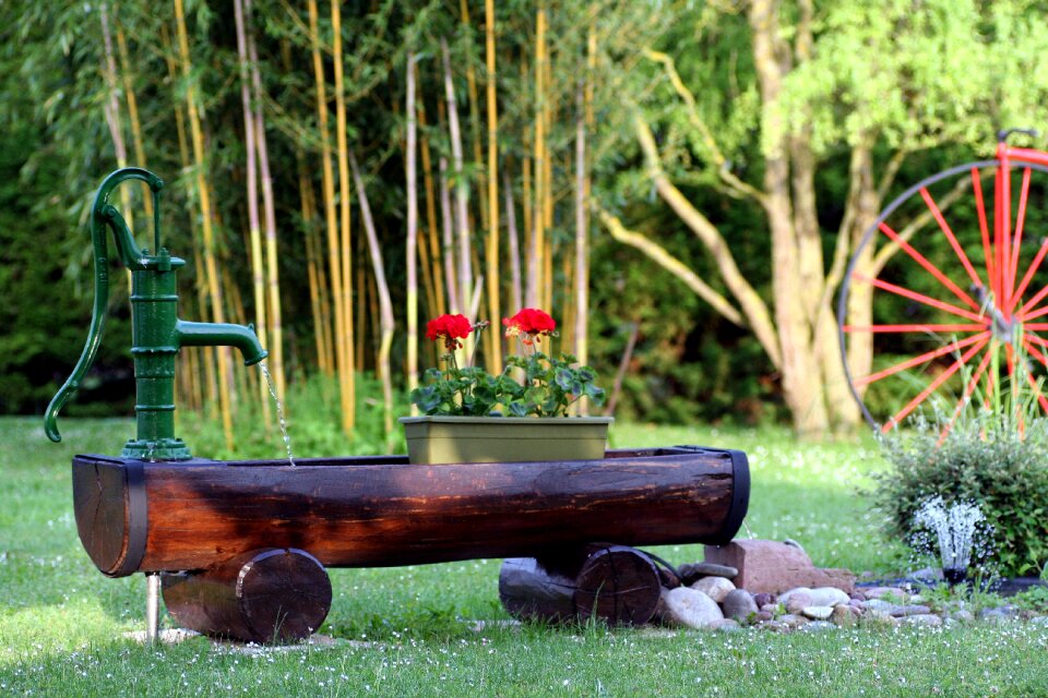 Bamboo fountain alsace
