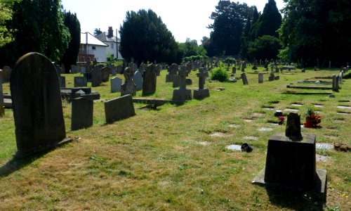 St Mary and St Nicholas' Church, Church Road, Leatherhead (July 2013) (Churchyard)