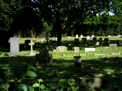 St Mary the Virgin's Church, Rectory Lane, Byfleet (June 2015) (Churchyard)