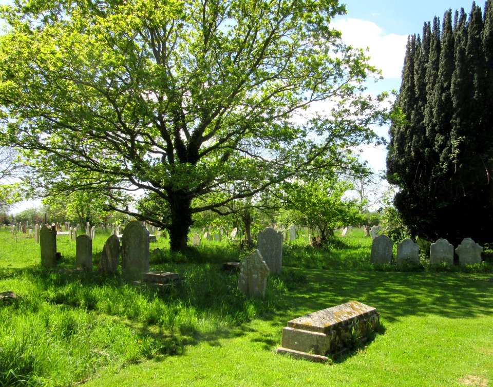St Helen's Church, Eddington Road, St Helens, Isle of Wight (May 2016) (Churchyard)