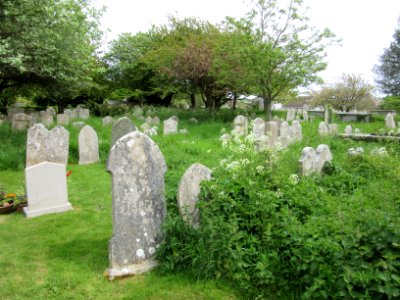 St Mary the Virgin's Church, High Street, Brading (May 2016) (Churchyard) (3)