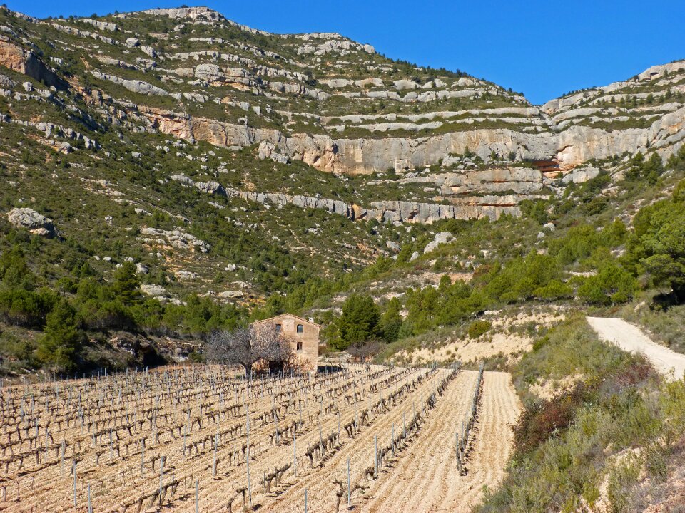 Priorat montsant mas d'en forçans