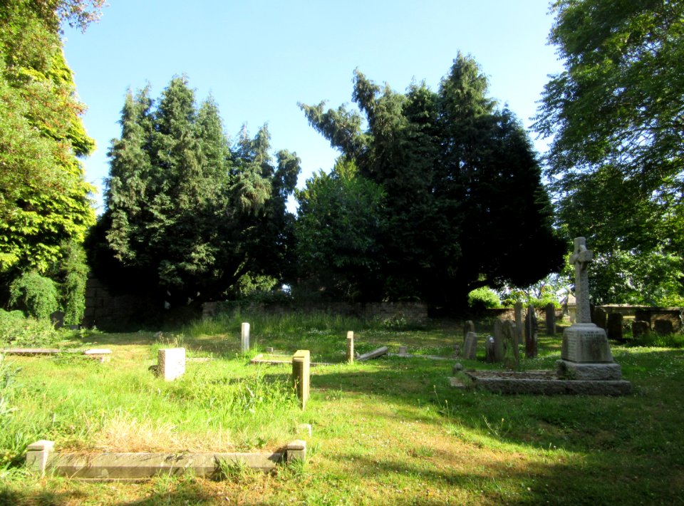 St Mary's Church, Church Road, Long Ditton (June 2015) (Churchyard) (5)