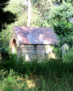 St Mary's Church, Church Road, Long Ditton (June 2015) (Churchyard) (3)