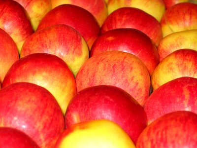 Fruit fruit stiege healthy