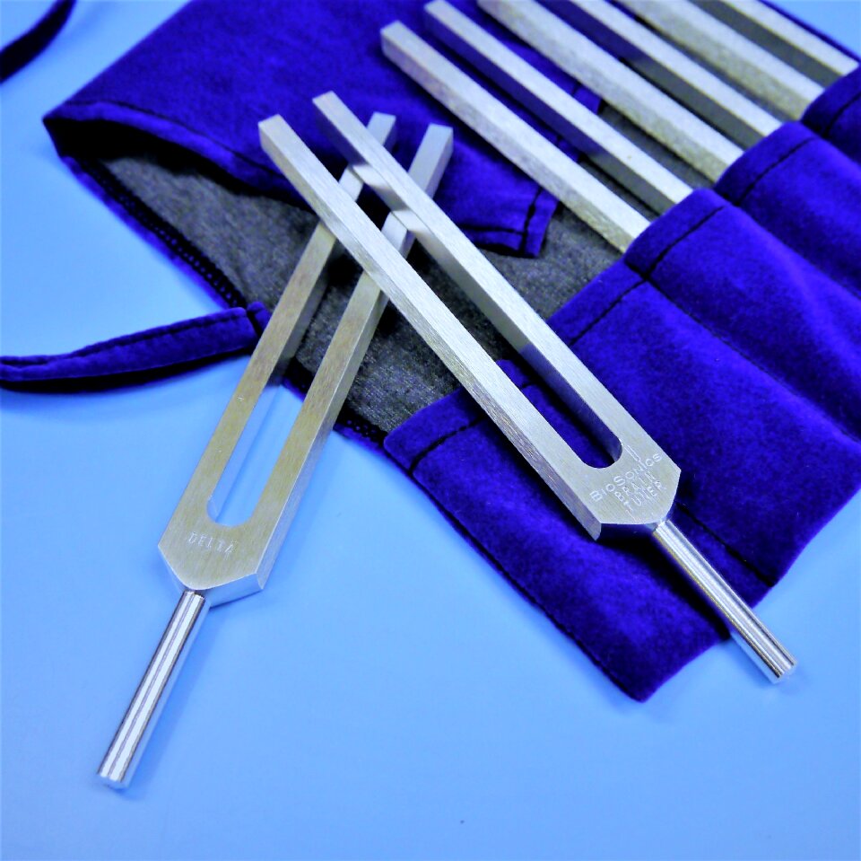 Bio sonics eeg adjustment pouch