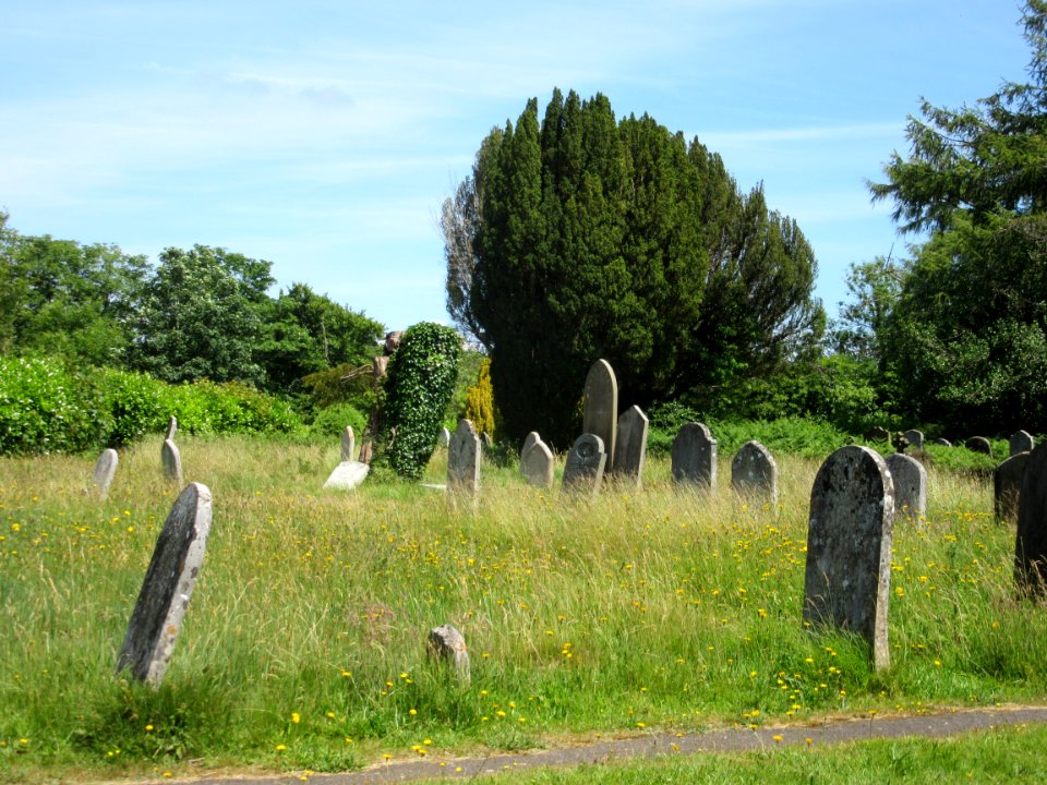 St Mark's Church, Hadlow Down (June 2015) (Churchyard) (1)