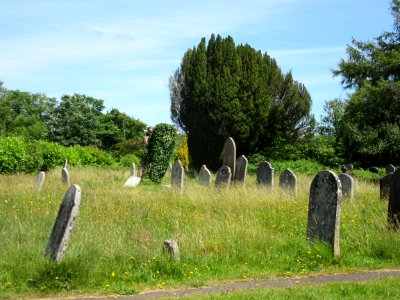 St Mark's Church, Hadlow Down (June 2015) (Churchyard) (1)