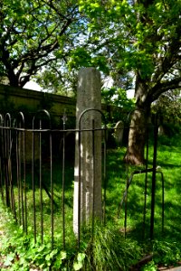 St Martin's Churchyard, Exminster (2021-05-19) 09
