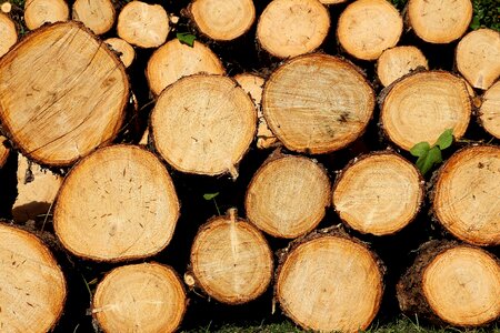 Firewood stacked up stack