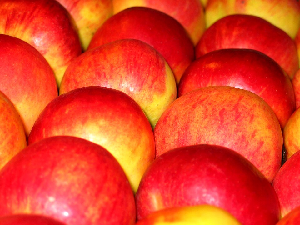 Fruit fruit stiege healthy