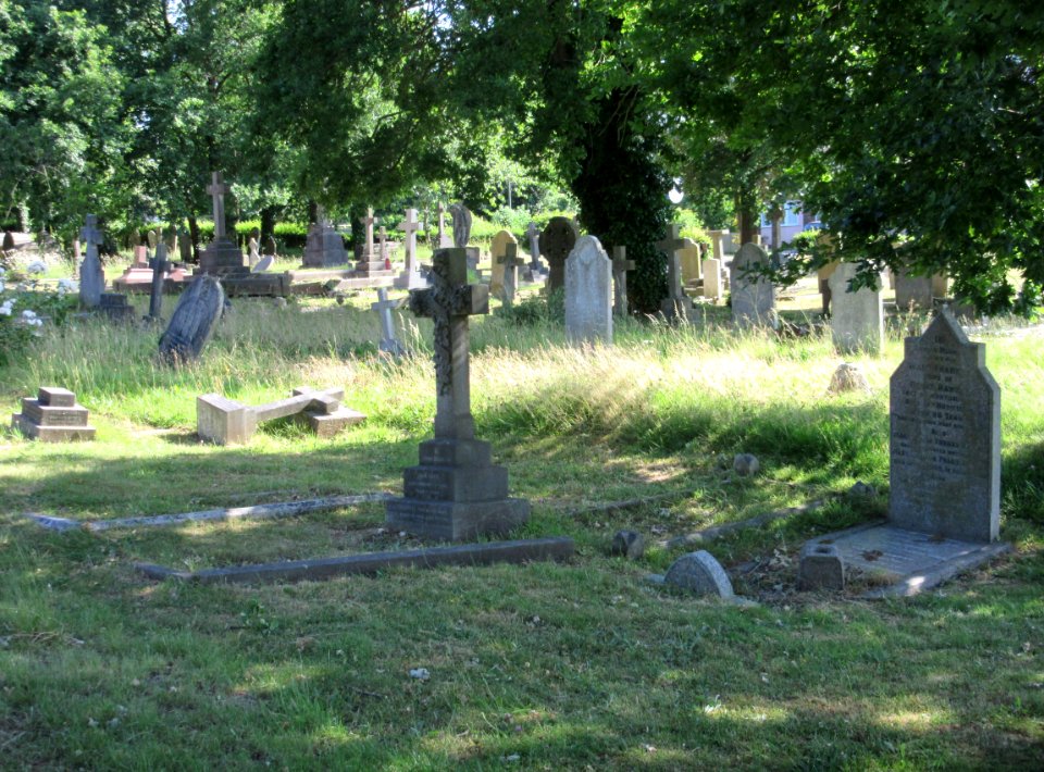 St Mary's Church, Church Road, Long Ditton (June 2015) (Churchyard) (1)