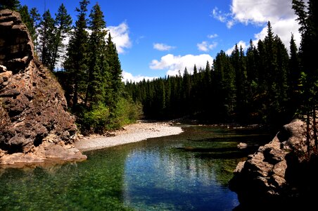 River evergreen trees rocks
