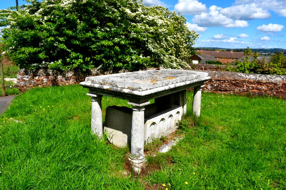 St Martin's Churchyard, Exminster (2021-05-19) 11