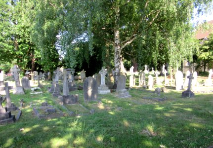 St Mary's Church, Church Road, Long Ditton (June 2015) (Churchyard) (2)