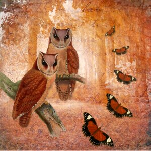 Vintage owls butterflies