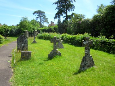 St Mark's Church, Hadlow Down (June 2015) (Churchyard) (2)