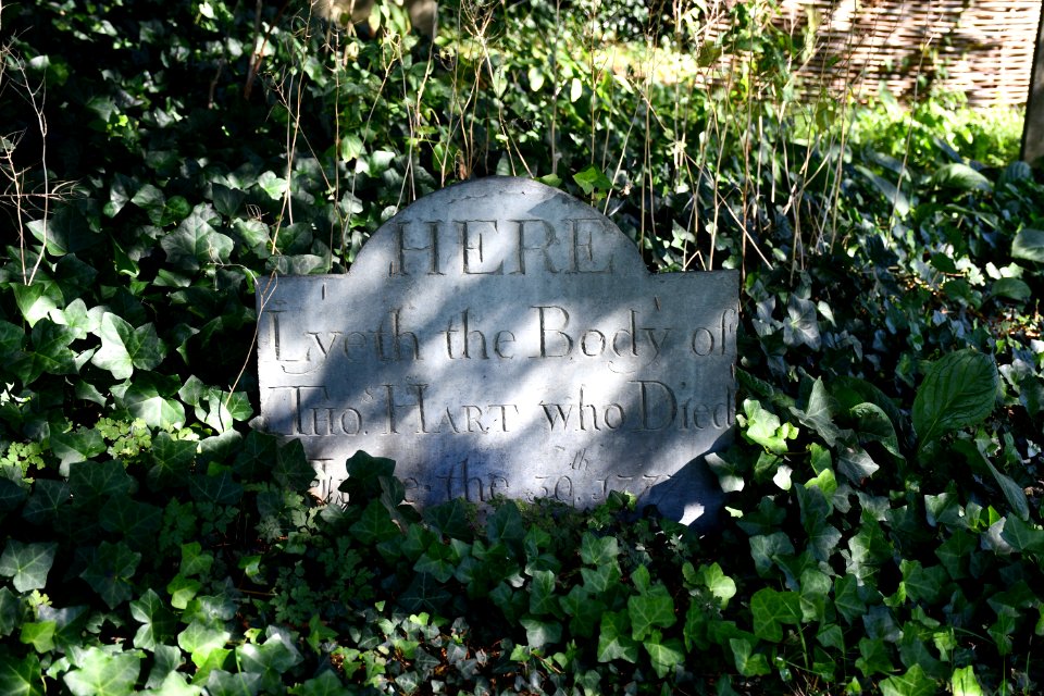 St Michaels, Sowton (2020-09-26) 11
