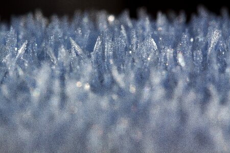 Winter frozen crystals