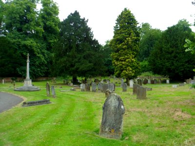 St Michael's Church, Church Street, Betchworth (July 2013) (Churchyard) (3)