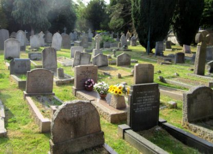 St Nicholas' Church, Church Walk, Thames Ditton (June 2015) (Churchyard)