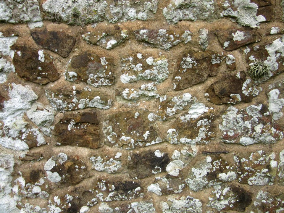 St Mary the Virgin's Church, Brook, Isle of Wight (May 2016) (Stonework) (1)