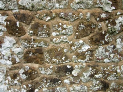 St Mary the Virgin's Church, Brook, Isle of Wight (May 2016) (Stonework) (1)