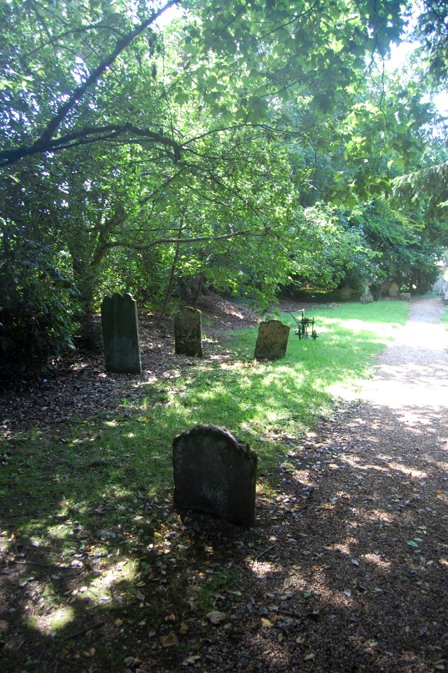 St Mary Magdalene's Church, West Tisted (NHLE Code 1351153) (July 2019) (Churchyard)