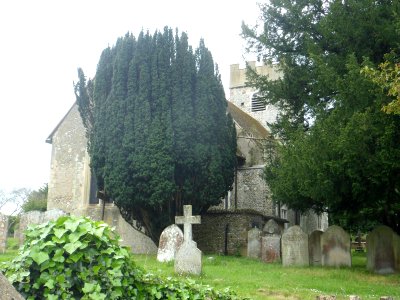 St Mary the Virgin's Church, Church Lane, Send (May 2014) (1)