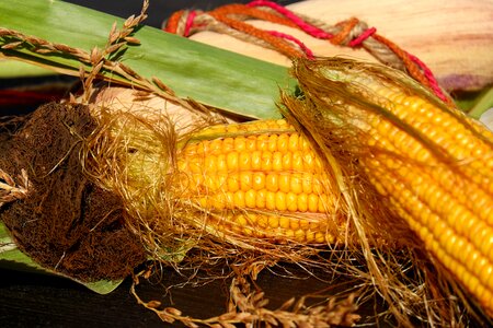 Corn hair autumn decoration