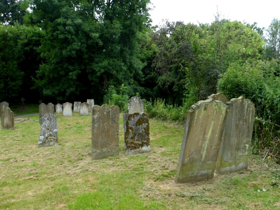 St Michael's Church, Church Street, Betchworth (July 2013) (Churchyard) (4)